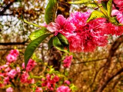 -元大都城垣遗址公园