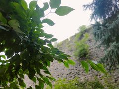 -紫霞湖公园