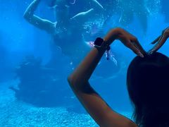 -海棠湾洲际-涛·海底餐厅·美人鱼·自助餐·海底隧道