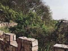 -木兰云雾山