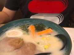 -岭南站NOVA