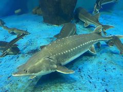 -多彩贵州城极地海洋世界