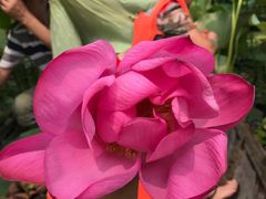 -铁道游击队纪念馆