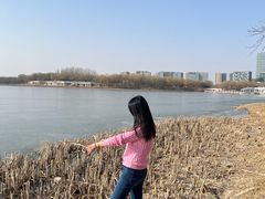 -大兴滨河森林公园