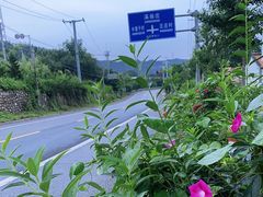 -北京张裕爱斐堡酒庄