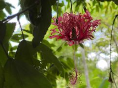 -曼听御花园