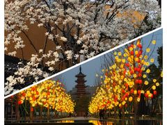 -龙华寺