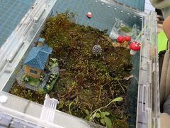 -嘉北郊野公园