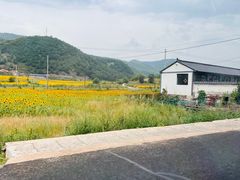 -乌兰布统草原