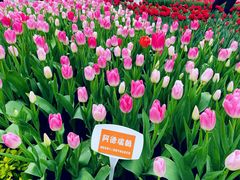 -厦门园林博览苑