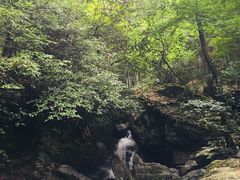 -藏龙百瀑风景区