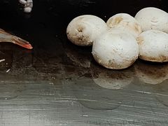 爆汁口蘑焗虾滑-大神太神·铁板烧(瑞虹天地月亮湾店)