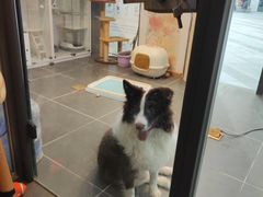 -萌兽医馆·眼科·异宠专科(三里屯店)
