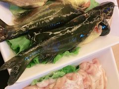 黄骨鱼-野妹火锅(龙岗店)