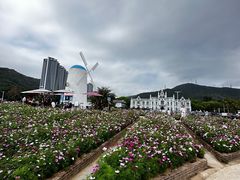 -玫瑰海岸文化旅游度假区