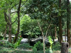 -东明山森林公园