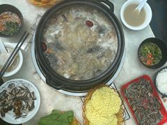 -蘑统田下·野生菌火锅