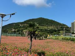 -东海半边山旅游度假区