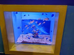 -海合安青岛极地海洋公园