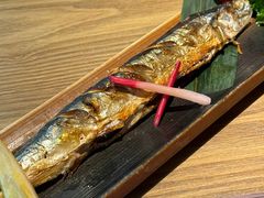 -京鹿料理(荟聚店)