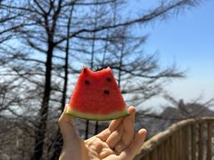 -崂山巨峰游览区