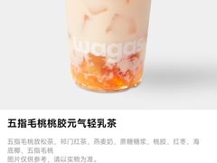 -Wagas沃歌斯(星荟中心店)