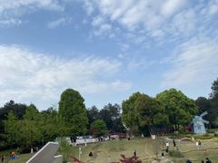 -铁山坪森林公园