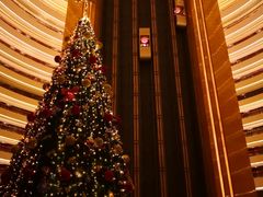 -杭州国际会议中心洲际酒店-菋道海鲜餐厅