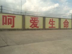 -胜华驾校·小猫学车(银都店)