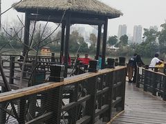 -艾溪湖湿地公园