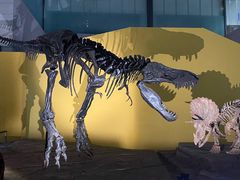 -湖南省地质博物馆