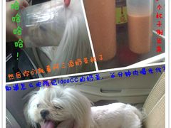 照片0318_副本-陈记甜品窝(中山北路店)