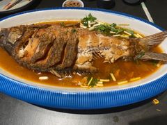 -阿五黄河大鲤鱼(纬三路店)