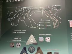 -中国湿地博物馆