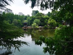 -水绘园