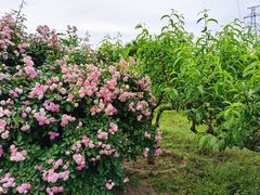 -北京市朝阳区第二少儿业余体校