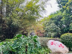 -深圳国际园林花卉博览园