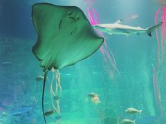 -沈阳海洋探索中心