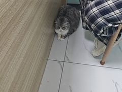 -嘉馨宠物医院·CT影像转诊·心脏科·犬猫全科诊疗中心(下沙大学城院区)