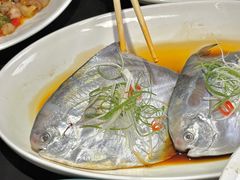 -京悦南门涮羊肉·羊蝎子火锅(田林路店)