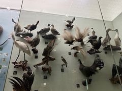 -国家自然博物馆