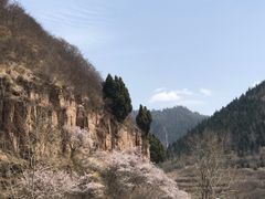 -芦芽山旅游度假区