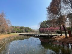 -同里国家湿地公园