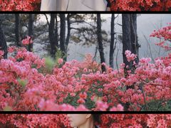 -木兰云雾山