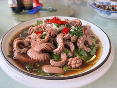 -呼吸森林·生态农庄农家乐私房菜