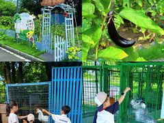 -成都安仁福朋喜来登酒店