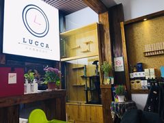 -LUCCA卢卡西班牙海鲜饭(远洋广场店)