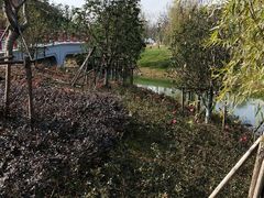 -上海浦江郊野公园-2号停车场