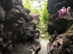 -南通洲际绿博园