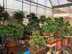 -秦美花卉(天朗·莱茵小城2期店)